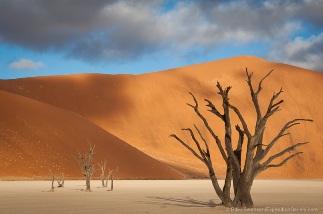 Dead Vlei, in the Namib Desert.