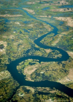 Aerial view of a river snaking it's way through the flooded Okavango Delta, Botswana.